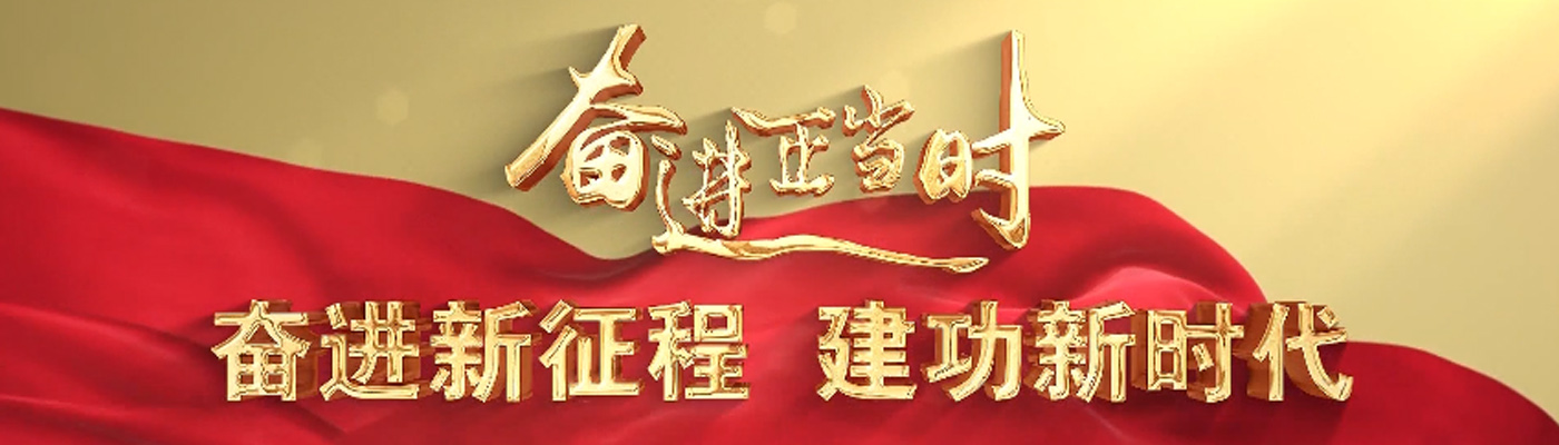 专题栏目