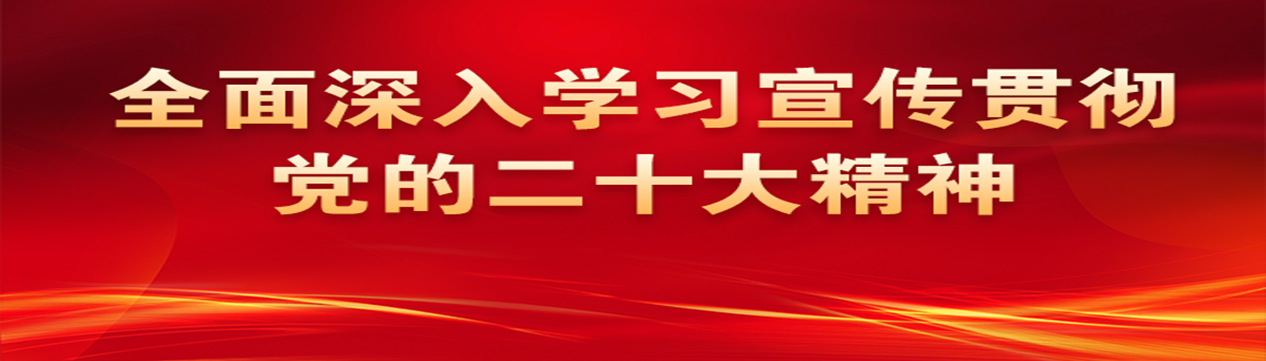 专题栏目